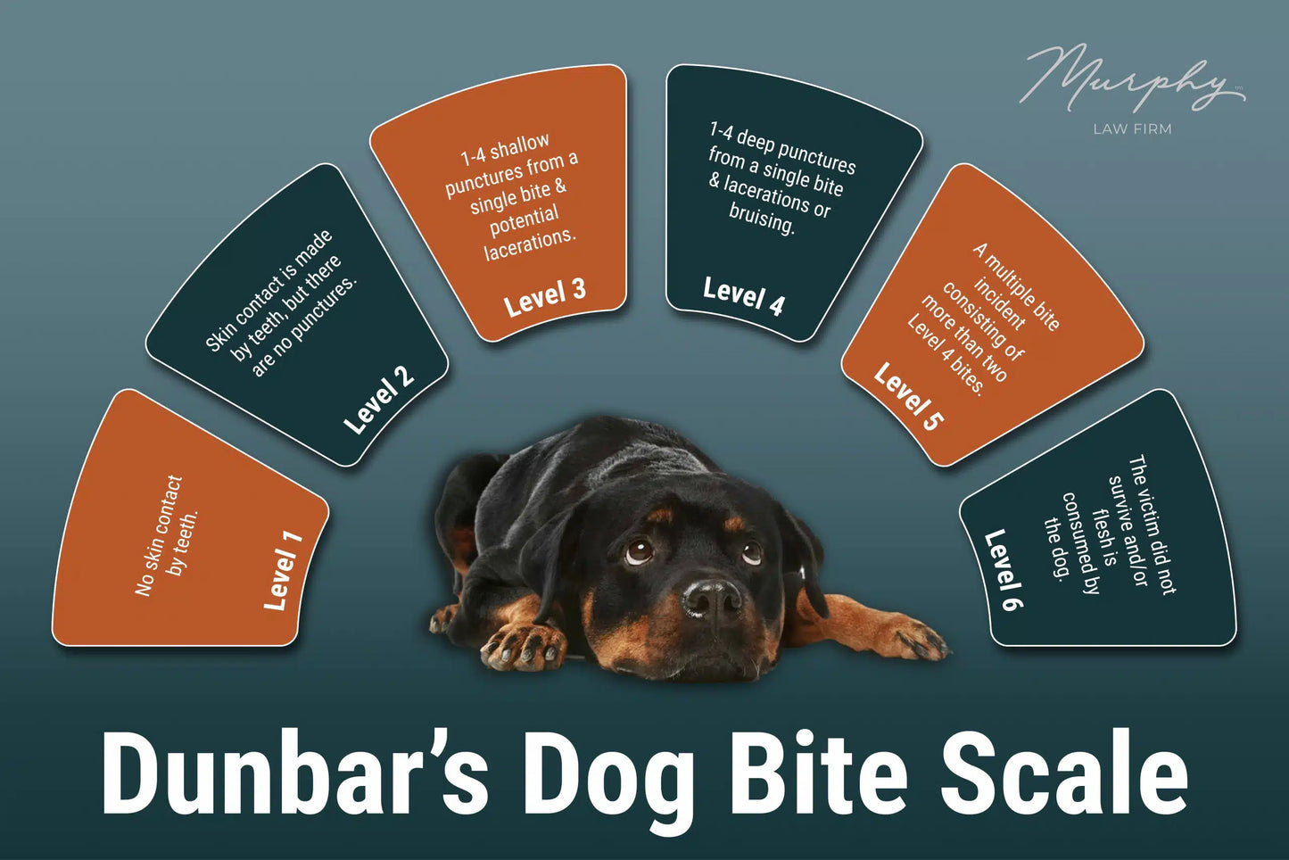 dunbar bite scale