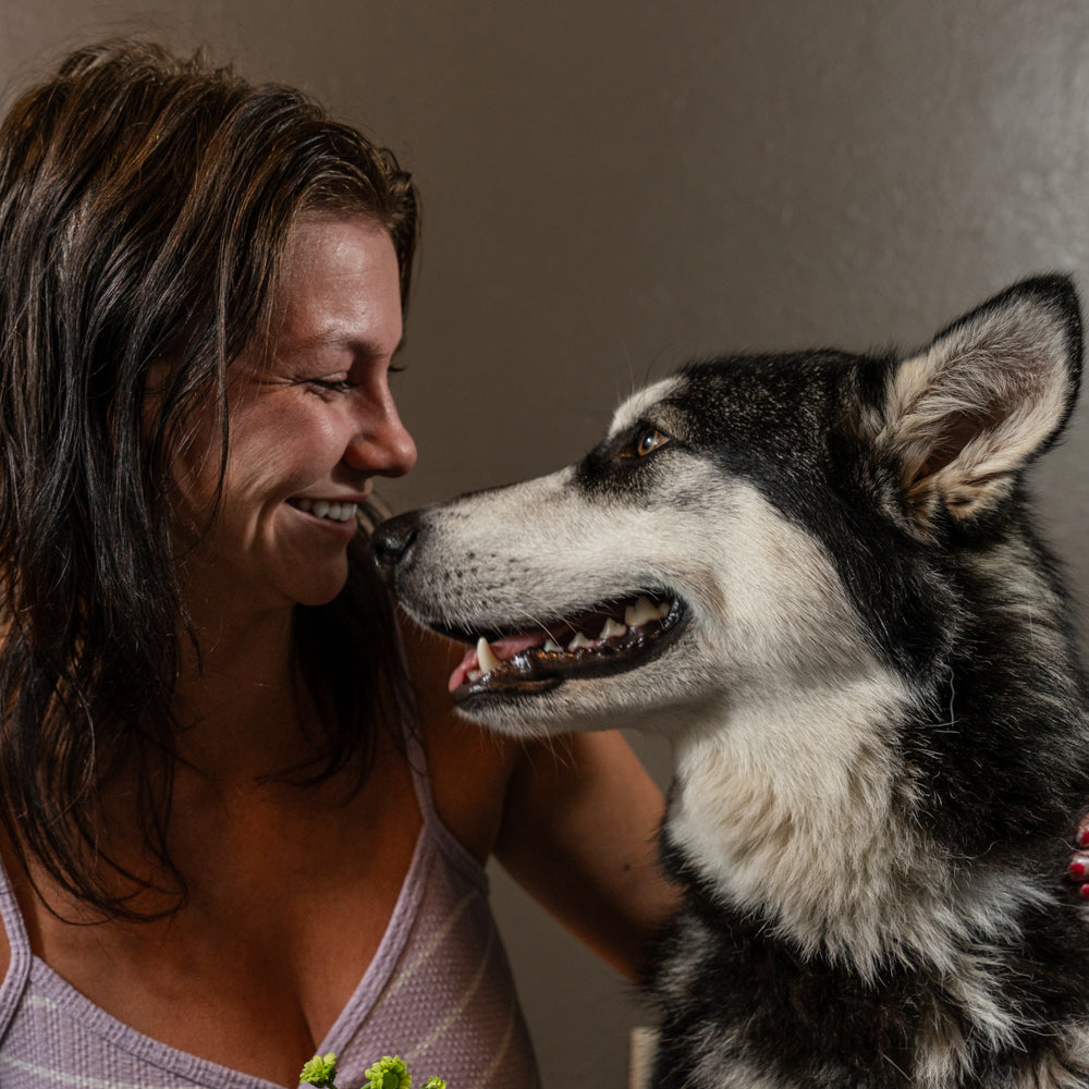 Woof Haven