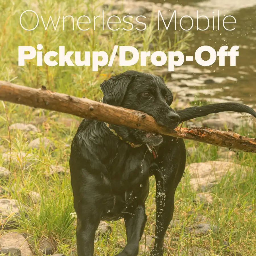 Woof Wheels - Secure Ownerless Mobile Pickup/Dropoff + Daycare